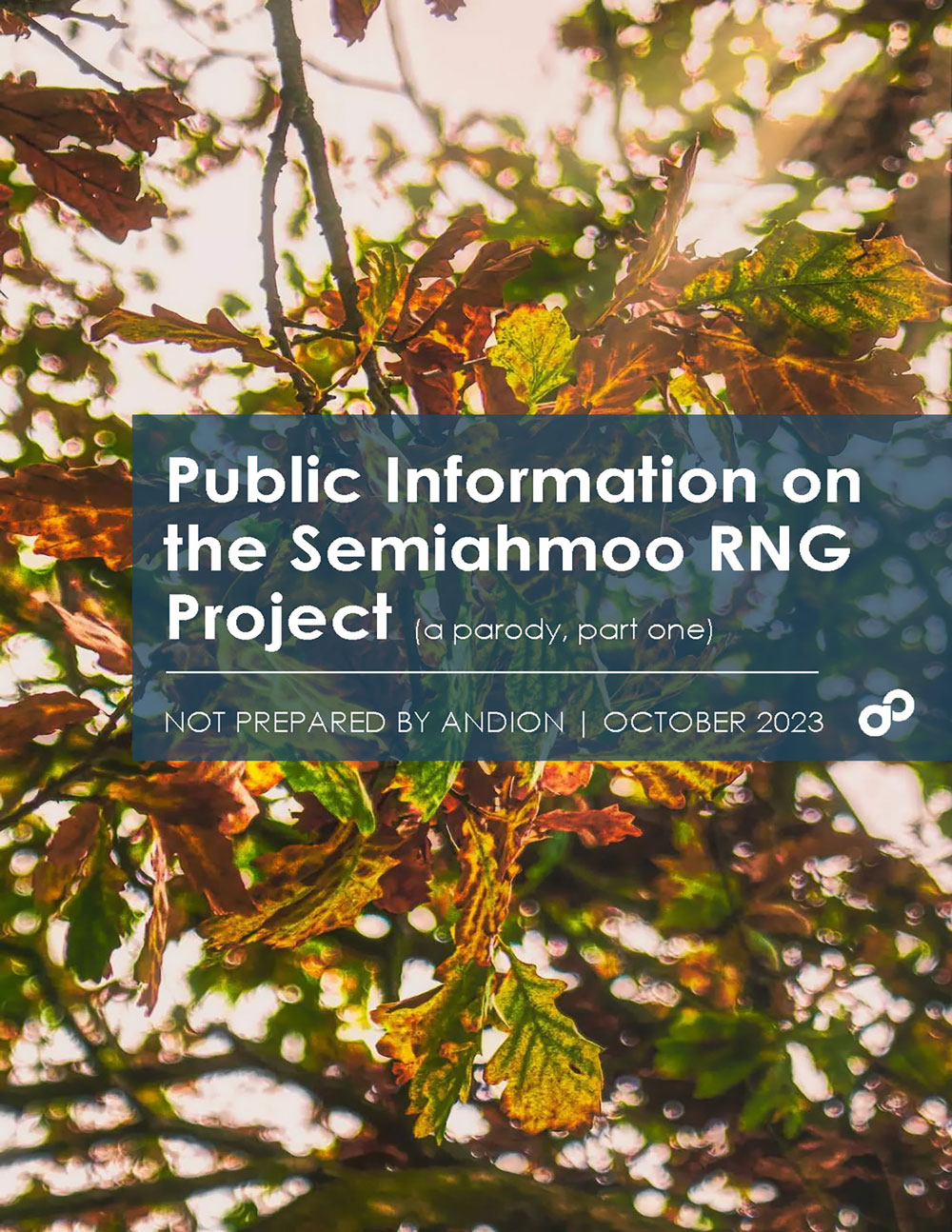 Read the publication of the Public Information the Semiahmoo RNG Project originally prepared by Andion Global Parody